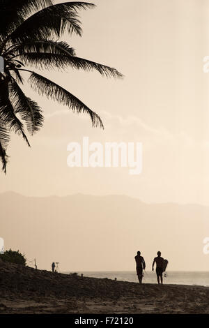 Silhouette di palme con due surfisti camminando lungo la spiaggia dopo un surf. Foto Stock