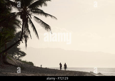 Silhouette di palme con due surfisti camminando lungo la spiaggia dopo un surf Foto Stock