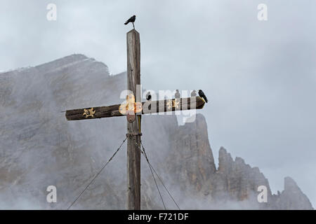 Gracchio alpino seduto su un vertice di croce, (Pyrrhocorax graculus), Dolomiti, Alto Adige, Italia, Europa Foto Stock