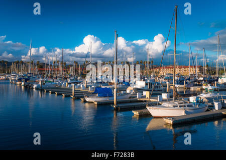 Luce della Sera su barche nel porto di Ventura, Ventura, California USA Foto Stock