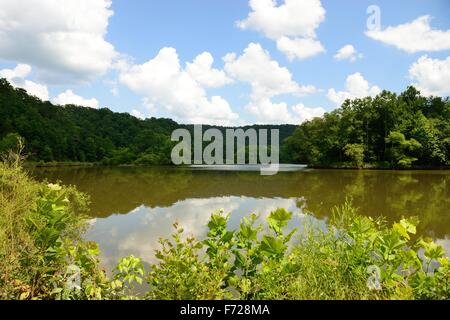 Questa bella immagine è stata catturata nella grotta di Paragon eseguire il lago nella parte orientale del Kentucky. Foto Stock