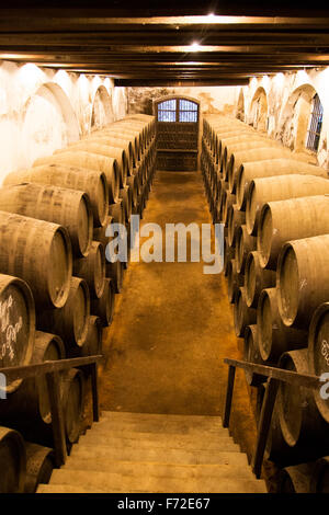 In botti di rovere di sherry di maturazione del vino in cantina, Gonzalez Byass bodega, Jerez de la Frontera, la provincia di Cadiz Cadice, Spagna Foto Stock