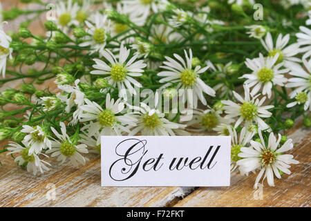 Get Well card con freschi Fiori di camomilla rustico sulla superficie di legno Foto Stock