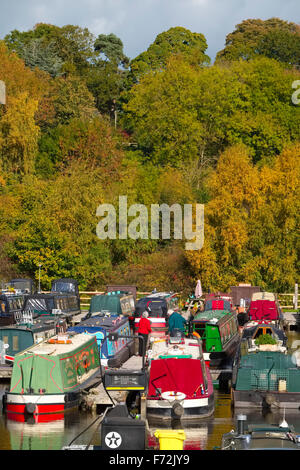 Battelli ormeggiati a Blackwater Prato Marina sul canale di Llangollen, in autunno, Ellesmere, North Shropshire, Inghilterra, Regno Unito Foto Stock