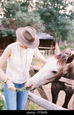 Donna alimentazione di un cavallo in un recinto. Foto Stock