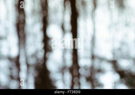 Abstract alberi sfocata in background di foresta Foto Stock