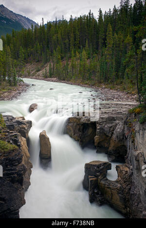 Sunwapta Falls, superiore cascate del fiume Athabasca nel Parco Nazionale di Jasper, Alberta, Canadian Rockies, Canada Foto Stock