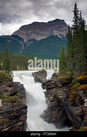 Cascate Athabasca del Fiume Athabasca nel Parco Nazionale di Jasper, Alberta, Canadian Rockies, Canada Foto Stock
