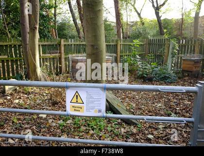 Apicoltura urbana: orticaria a Tower Hamlets Cimitero Parco, London, Regno Unito Foto Stock