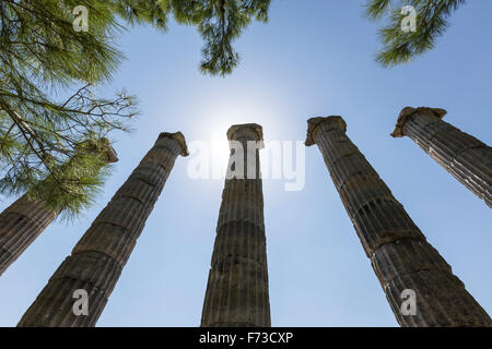 Cinque colonne ioniche del tempio di Athena. Priene antica città greca della Ionia alla base di una scarpata di Mycale. Foto Stock