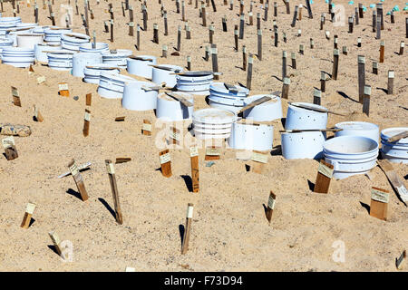 Area di nidificazione per uova di tartaruga sulla spiaggia di Puerto Vallerta, Messico. Le pentole indicano dove le uova sono sepolti Foto Stock