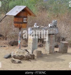 Mail di barili a Post Office Bay, Isla Floreana, Isole Galapagos. Foto Stock