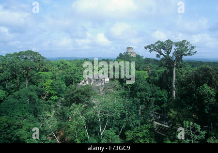 Vista del tempio IV, dalla Piramide principale, Tikal, Guatemala. Foto Stock