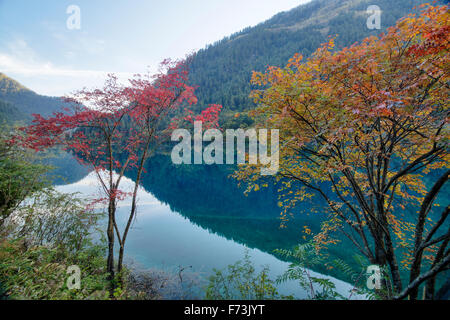 Rhinocerous Lago e Colore di autunno Jiuzhaigou Parco Nazionale di Sichuan, in Cina la007898 Foto Stock