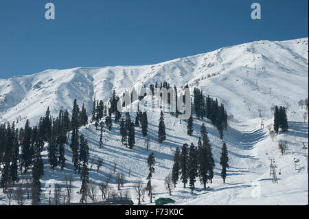 Coperta di neve montagna, gulmarg, Kashmir India, Asia Foto Stock