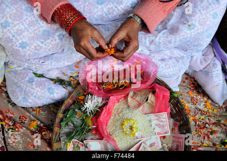 Kathmandu, Nepal. 25 Nov, 2015. Nepalese donna Indù, chi è il digiuno, vi attende per offrire santo fiore per i devoti dell'ultimo giorno di 'Adinath Mela' festival in Chovar. Nel mese di ottobre o di novembre da Kojagrat purnima a Kartik purnima, la gente visita tempio di Adinath al mattino e di eseguire particolari rituali puja e funzione rituale durante Adinath Mela. © Narayan Maharjan/Pacific Press/Alamy Live News Foto Stock