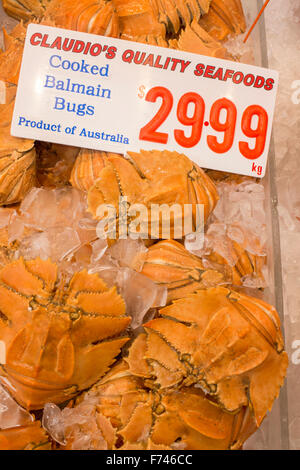 Balmain bug ventola butterfly aragoste ibacus peronii cotte e congelate per la vendita in stallo in Sydney Fish Market NSW Australia Foto Stock