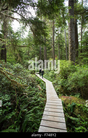 Canada, British Columbia, l'isola di Vancouver, Pacific Rim National Park riserva, due turisti femmina escursionismo Foto Stock