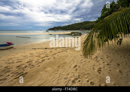 Sulla spiaggia di Koh Tao, Thailandia Foto Stock