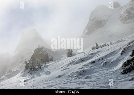 Coperta di neve belle cime di montagna nella nebbia Foto Stock