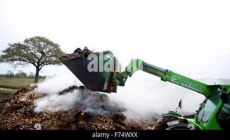 Fareham, Hampshire, Regno Unito. 25 Novembre, 2015. Fire equipaggi da Fareham, Gosport e Hightown erano chiamati ad un fienile fattoria in Brownwich Lane in a Titchfield questo pomeriggio. Hampshire Fire and Rescue Service Manager Guarda Ian Cambridge da Fareham detto 'quando il primo equipaggio a cui hanno partecipato il granaio era ben illuminato." Egli andò poi a lodare gli sforzi della frequentando gli equipaggi e il duro lavoro che hanno messo in per fermare l'incendio di propagarsi agli altri due fienili adiacenti. Un vettore acqua doveva essere chiamato a causa della limitata alimentazione idrica all'interno dell'area. Credito: uknip/Alamy Live News Foto Stock