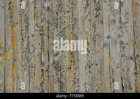 Un vecchio schermo di legno di tavole Foto Stock
