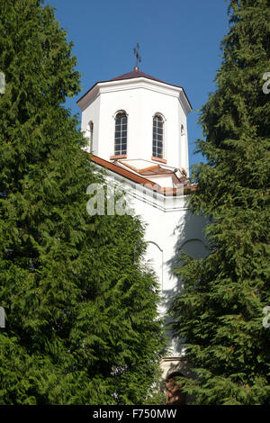 Frammento dal cristiano ortodosso di chiesa Foto Stock