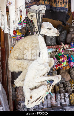 Lama Feotus per la vendita nel mercato delle streghe a La Paz, Bolivia, Sud America. Foto Stock
