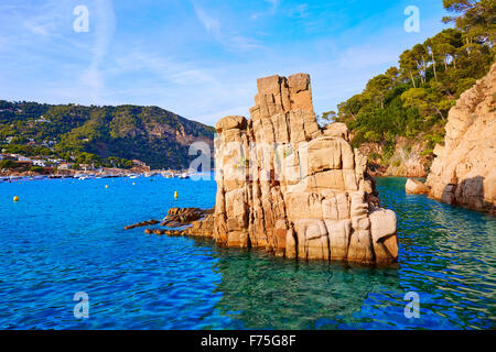 Aigua Blava spiaggia Cala in Begur di Girona in Catalogna Spagna Foto Stock