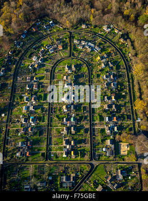 Assegnazioni Harpener Heide in autunno il sonno di stagno Rottmann, Bochum, la zona della Ruhr, Renania settentrionale-Vestfalia, Germania, Europa, antenna Foto Stock