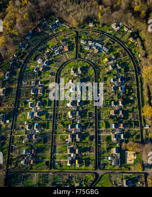 Assegnazioni Harpener Heide in autunno il sonno di stagno Rottmann, Bochum, la zona della Ruhr, Renania settentrionale-Vestfalia, Germania, Europa, antenna Foto Stock