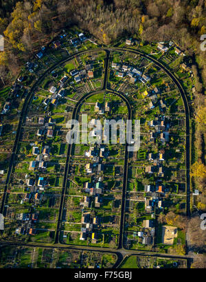 Assegnazioni Harpener Heide in autunno il sonno di stagno Rottmann, Bochum, la zona della Ruhr, Renania settentrionale-Vestfalia, Germania, Europa, antenna Foto Stock