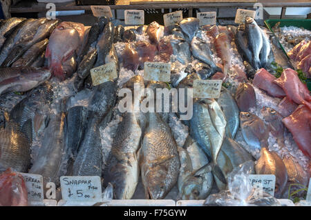 Mercato del pesce pesce per la vendita Foto Stock