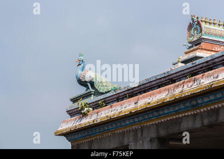 Tetto colorato peacock statue, Kapaleeswarar Temple, un tempio indù di Shiva si trova a Mylapore, Chennai, nello Stato del Tamil Nadu, nell India meridionale Foto Stock