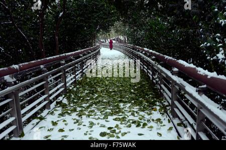 Jinan, la Cina della provincia dello Shandong. 25 Nov, 2015. Lascia cadere sulla coperta di neve road presso un parco di Jinan, a est della capitale cinese della provincia dello Shandong, nov. 25, 2015. © Zhao Xiaoming/Xinhua/Alamy Live News Foto Stock