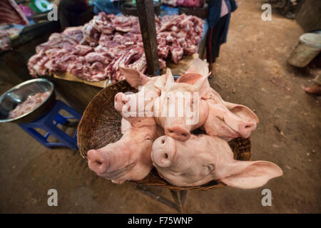 Teste di suini nel mercato al Psar Leu, Siem Reap, Cambogia Foto Stock