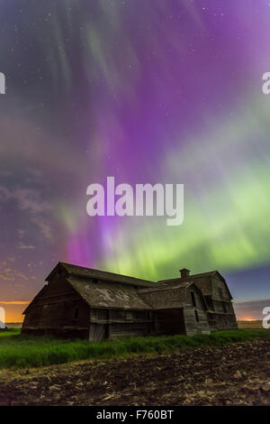 Un tutto-sky aurora con verde e viola tende, la notte del giugno 7-8, 2014, avviamento di circa 12:30 e andando fino all'alba. Thi Foto Stock