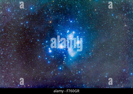 Le Pleiadi star cluster o di Sette sorelle, aka Messier 45, in Toro. La parte più brillante della nebulosa di riflessione intorno al P Foto Stock
