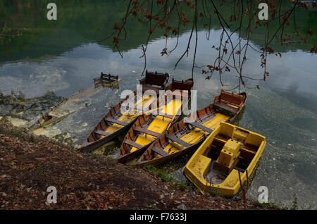 Barche a sattal lago, nainital, Uttarakhand, India Foto Stock