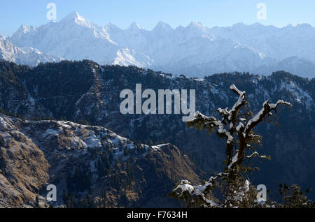 Vista dei picchi Panchchuli sul modo di Munsiyari Uttarakhand India Foto Stock