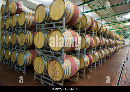 Sud Africa - botti da vino in vigna. Foto Stock