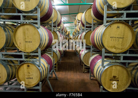 Sud Africa - botti da vino in vigna. Foto Stock