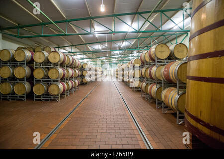 Sud Africa - botti da vino in vigna. Foto Stock