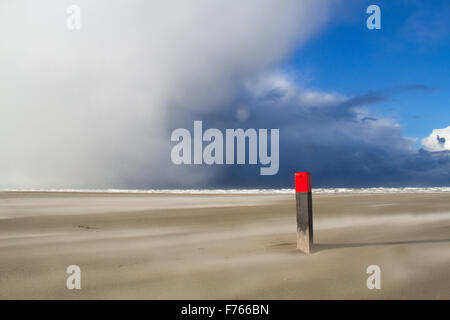 Una selvaggia giornata sulla spiaggia: una tempesta di sabbia e nuvole basse al di sopra del mare, portando la neve Foto Stock