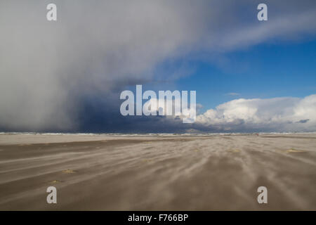 Una selvaggia giornata sulla spiaggia: una tempesta di sabbia e nuvole basse al di sopra del mare, portando la neve Foto Stock
