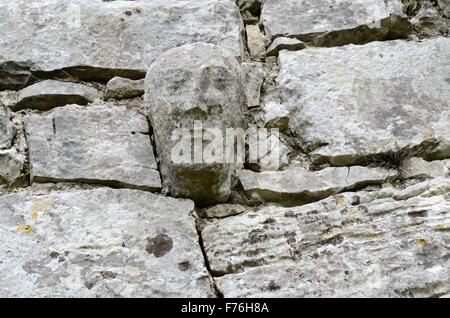 Scolpita in pietra testa di capitale sulle pareti del XII secolo chiesa Templecronan Carron Burren County Clare Irlanda Foto Stock