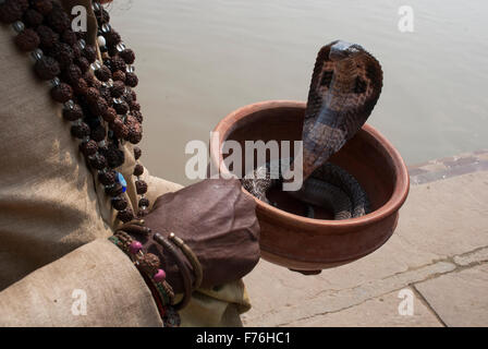 Snake Charmer, ganga fiume gange, kashi, banaras, benaras, varanasi, uttar pradesh, india, asia Foto Stock