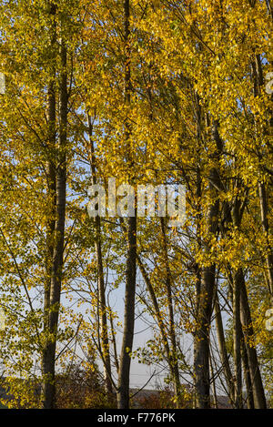 Deutschkreutz, Burgenland, Austria Foto Stock