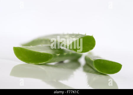 Fresh Aloe foglie Foto Stock