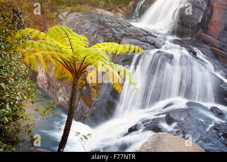 Sri Lanka - Horton Plain National Park, Baker cascata Foto Stock